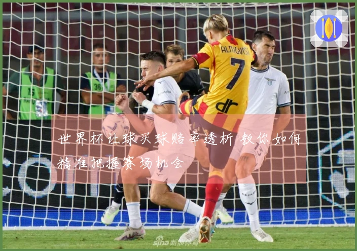 世界杯让球买球赔率透析 教你如何精准把握赛场机会