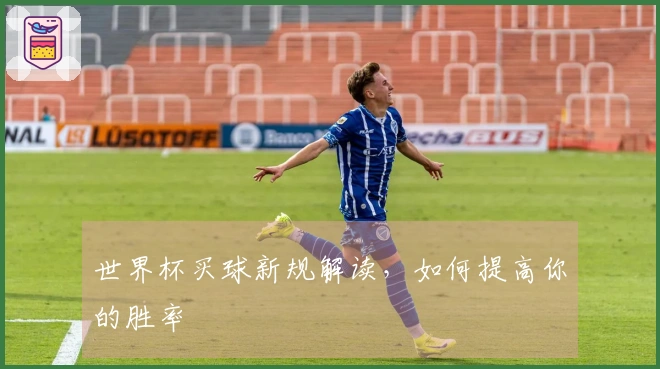 世界杯买球新规解读，如何提高你的胜率