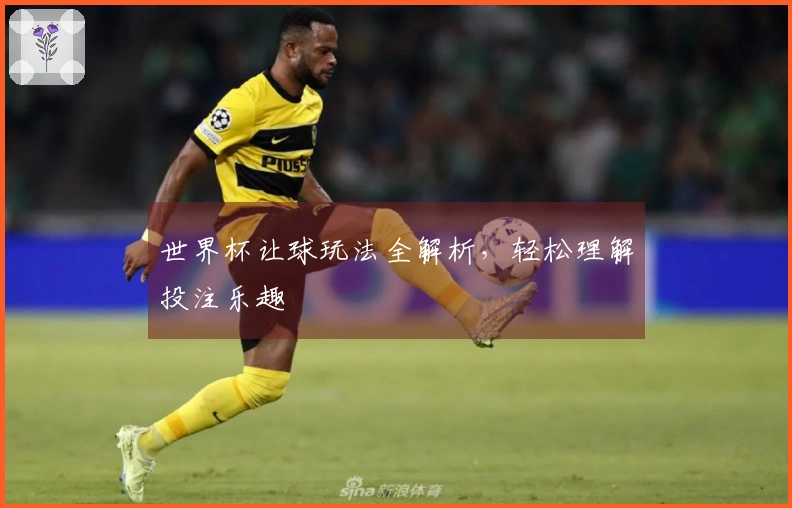 世界杯让球玩法全解析，轻松理解投注乐趣