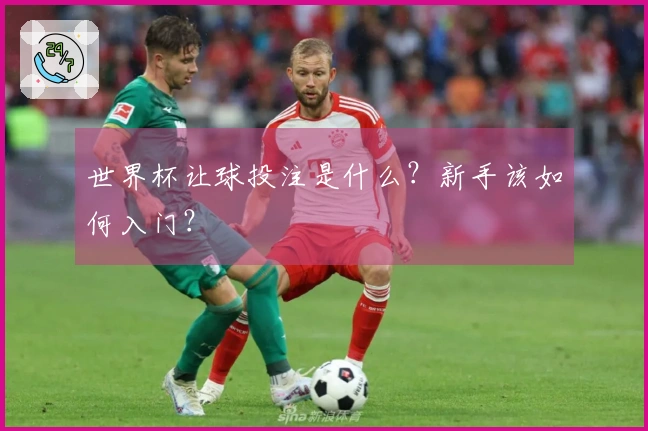 世界杯让球投注是什么？新手该如何入门？