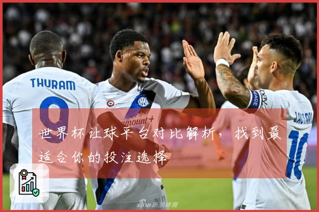 世界杯让球平台对比解析，找到最适合你的投注选择