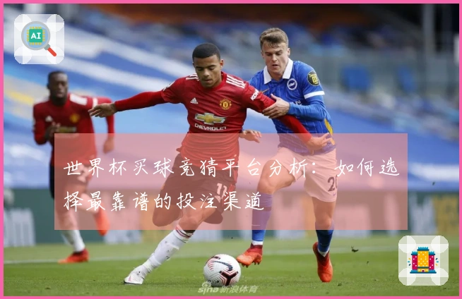 世界杯买球竞猜平台分析：如何选择最靠谱的投注渠道