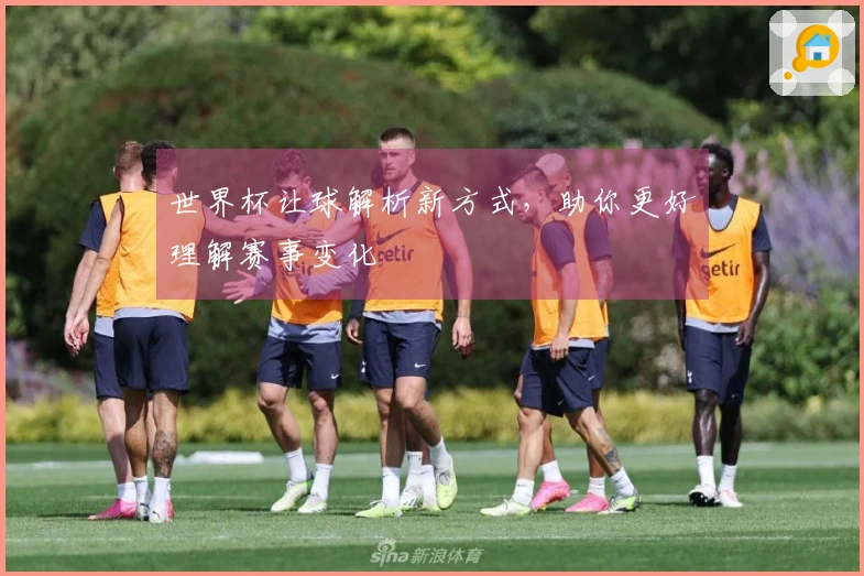 世界杯让球解析新方式，助你更好理解赛事变化