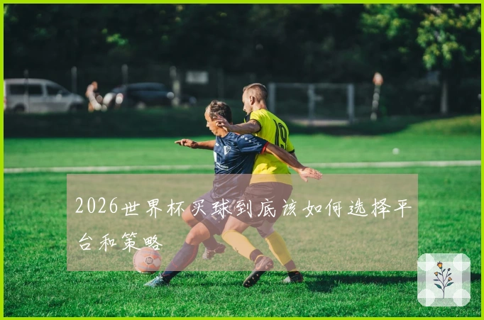 2026世界杯买球到底该如何选择平台和策略