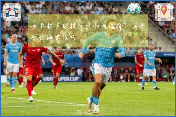 世界杯买球投注该如何选择？高手教你避雷技巧