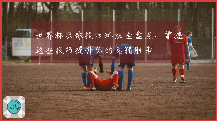世界杯买球投注玩法全盘点，掌握这些技巧提升你的竞猜胜率