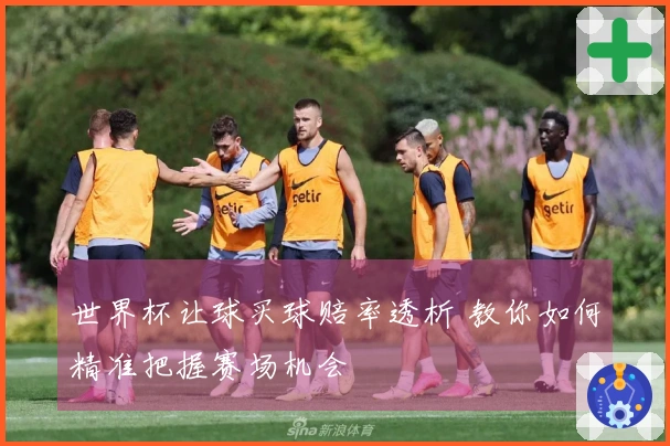 世界杯让球买球赔率透析 教你如何精准把握赛场机会